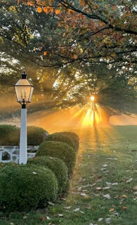 Lamp Post
